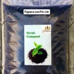 Vermi Compost